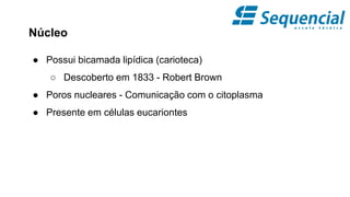 Núcleo
● Possui bicamada lipídica (carioteca)
○ Descoberto em 1833 - Robert Brown
● Poros nucleares - Comunicação com o citoplasma
● Presente em células eucariontes
 