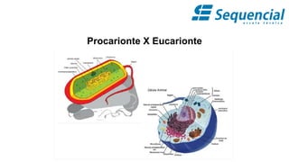 Procarionte X Eucarionte
 