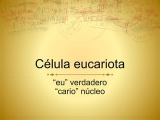 “eu” verdadero
“cario” núcleo
Célula eucariota
 