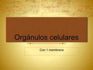 Orgánulos celulares
Con 1 membrana
 