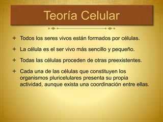 Teoría Celular
 Todos los seres vivos están formados por células.
 La célula es el ser vivo más sencillo y pequeño.
 Todas las células proceden de otras preexistentes.
 Cada una de las células que constituyen los
organismos pluricelulares presenta su propia
actividad, aunque exista una coordinación entre ellas.
 