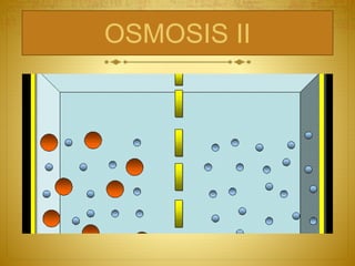 OSMOSIS II
 