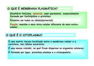 O QUE É O CITOPLASMA? É uma matriz viscosa localizada entre a membrana celular e a carioteca, nas células eucariotas. É uma massa coloidal, na qual ficam dispersas as organelas celulares; É formada por água, proteínas,enzimas e o citoesqueleto. O QUE É MEMBRANA PLASMÁTICA? Envoltório finíssimo,  universal , semi-permeável, essencialmente formado por fosfolipídios e proteínas. Presente em todas as células(universal). Função : mantém o meio intra-celular diferente do meio extra-celular. 