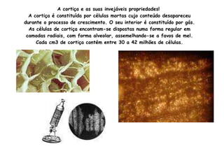 A cortiça e as suas invejáveis propriedades!  A cortiça é constituída por células mortas cujo conteúdo desapareceu durante o processo de crescimento. O seu interior é constituído por gás. As células de cortiça encontram-se dispostas numa forma regular em camadas radiais, com forma alveolar, assemelhando-se a favos de mel. Cada cm3 de cortiça contém entre 30 a 42 milhões de células. 