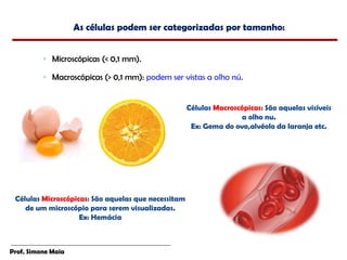 As células podem ser categorizadas por tamanho:


          ◦ Microscópicas (< 0,1 mm).

          ◦ Macroscópicas (> 0,1 mm): podem ser vistas a olho nú.


                                                     Células Macroscópicas: São aquelas visíveis
                                                                     a olho nu.
                                                      Ex: Gema do ovo,alvéolo da laranja etc.




 Células Microscópicas: São aquelas que necessitam
    de um microscópio para serem visualizadas.
                    Ex: Hemácia



Prof. Simone Maia
 