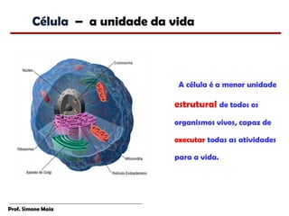 Célula – a unidade da vida



                                A célula é a menor unidade

                               estrutural de todos os
                               organismos vivos, capaz de

                               executar todas as atividades

                               para a vida.




Prof. Simone Maia
 