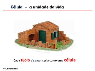 Célula – a unidade da vida




            Cada tijolo da casa seria como uma célula.

Prof. Simone Maia
 