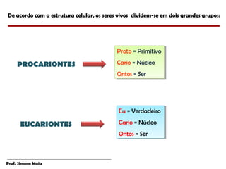 De acordo com a estrutura celular, os seres vivos dividem-se em dois grandes grupos:




                                           Proto ==Primitivo
                                           Proto Primitivo

     PROCARIONTES                          Cario ==Núcleo
                                           Cario Núcleo
                                           Ontos ==Ser
                                           Ontos Ser




                                           Eu ==Verdadeiro
                                            Eu Verdadeiro

      EUCARIONTES                          Cario ==Núcleo
                                           Cario Núcleo
                                           Ontos ==Ser
                                           Ontos Ser



Prof. Simone Maia
 