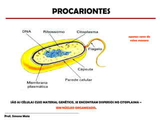 PROCARIONTES

                                                                         apenas seres do
                                                                          reino monera




    SÃO AS CÉLULAS CUJO MATERIAL GENÉTICO, SE ENCONTRAM DISPERSOS NO CITOPLASMA –
                              SEM NÚCLEO ORGANIZADO.

Prof. Simone Maia
 