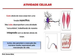 ATIVIDADE CELULAR


      Cada célula do nosso corpo tem uma

                função específica.

    Mas todas desempenham uma atividade
      "comunitária", trabalhando de maneira

      integrada com as demais células do
                      corpo.


       Juntas, elas garantem a execução das
        Juntas, elas garantem a execução das
         inúmeras tarefas responsáveis pela
          inúmeras tarefas responsáveis pela
               manutenção da vida.
                manutenção da vida.


Prof. Simone Maia
 