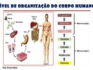 ível de organização do corpo humano




 Prof. Simone Maia
 