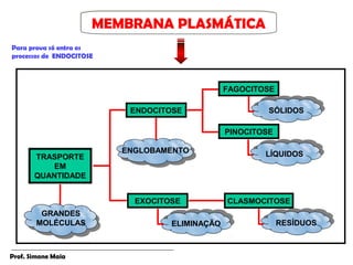 MEMBRANA PLASMÁTICA
                      MEMBRANA PLASMÁTICA
Para prova só entra os
processos de ENDOCITOSE



                                                FAGOCITOSE

                           ENDOCITOSE                    SÓLIDOS

                                                PINOCITOSE

                          ENGLOBAMENTO                  LÍQUIDOS
       TRASPORTE
           EM
       QUANTIDADE


                            EXOCITOSE           CLASMOCITOSE
         GRANDES
        MOLÉCULAS                  ELIMINAÇÃO                RESÍDUOS



Prof. Simone Maia
 