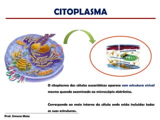 CITOPLASMA




                    O citoplasma das células eucarióticas aparece sem estrutura visível
                    mesmo quando examinado ao microscópio eletrônico.


                    Corresponde ao meio interno da célula onde estão incluídas todas
                    as suas estruturas.
Prof. Simone Maia
 