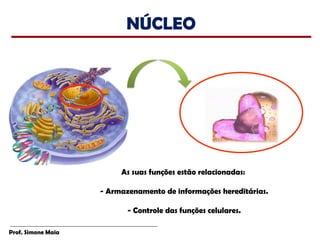 NÚCLEO




                         As suas funções estão relacionadas:

                    - Armazenamento de informações hereditárias.

                           - Controle das funções celulares.

Prof. Simone Maia
 
