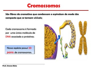 Cromossomos
   São fibras de cromatina que condensam e espiralam de modo tão
   compacto que se tornam visíveis;



   Cada cromossomo é formado
   por uma única molécula de
   DNA associada a proteínas;



     Nossa espécie possui 23
     Nossa espécie possui 23
     pares de cromossomos.
     pares de cromossomos.



Prof. Simone Maia
 