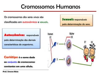 Cromossomos Humanos
 Os cromossomos dos seres vivos são
                                            Sexuais responsáveis
 classificados em autossômicos e sexuais.
                                            pela determinação do sexo.



 Autossômicos          responsáveis
 pela determinação das demais
 características do organismo.




 Cariótipo é o nome dado
 ao conjunto de cromossomos
 constantes em uma célula.

Prof. Simone Maia
 
