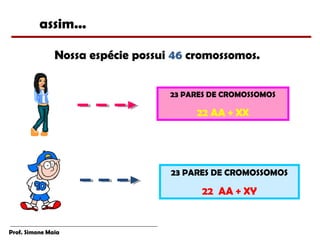 assim...

               Nossa espécie possui 46 cromossomos.


                                   23 PARES DE CROMOSSOMOS

                                        22 AA + XX




                                   23 PARES DE CROMOSSOMOS

                                         22 AA + XY


Prof. Simone Maia
 