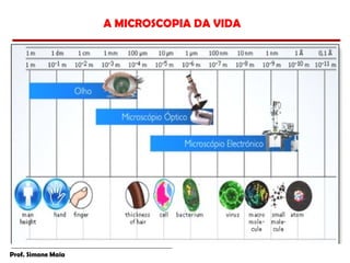 A MICROSCOPIA DA VIDA




Prof. Simone Maia
 