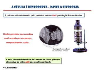 A célula é descoberta – nasce a citologia

  A palavra célula foi usada pela primeira vez em 1667 pelo inglês Robert Hooke.




Hooke percebeu que a cortiça
  era formada por numerosos
    compartimentos vazios.

                                                  Cortiça observada ao
                                                  microscópio óptico




   A esses compartimentos ele deu oonome de célula, palavra
    A esses compartimentos ele deu nome de célula, palavra
   diminutiva do latim cella que significa cavidade.
    diminutiva do latim cella que significa cavidade.

Prof. Simone Maia
 