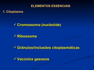 Cromossoma (nucleóide) Ribossoma  Grânulos/inclusões citoplasmáticas Vacúolos gasosos ELEMENTOS ESSENCIAIS 1. Citoplasma 