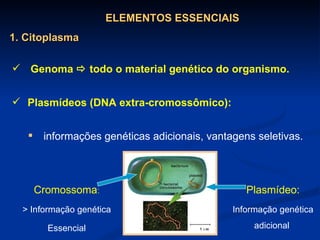 Genoma    todo o material genético do organismo. Plasmídeos (DNA extra-cromossômico): informações genéticas adicionais, vantagens seletivas. ELEMENTOS ESSENCIAIS 1. Citoplasma Cromossoma : > Informação genética Essencial Plasmídeo: Informação genética adicional  
