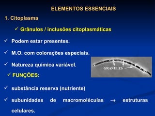 Grânulos / inclusões citoplasmáticas Podem estar presentes. M.O. com colorações especiais. Natureza química variável. substância reserva (nutriente) subunidades de macromoléculas    estruturas celulares. ELEMENTOS ESSENCIAIS 1. Citoplasma FUNÇÕES: 