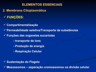 Compartimentalização Permeabilidade seletiva/Transporte de substâncias Funções das organelas eucariotas  - transporte de íons - Produção de energia - Respiração Celular Sustentação do Flagelo Mesossomos – separação cromossomos na divisão celular ELEMENTOS ESSENCIAIS 2. Membrana Citoplasmática FUNÇÕES: 