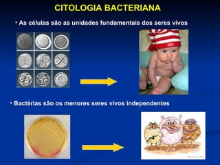CITOLOGIA BACTERIANA  As células são as unidades fundamentais dos seres vivos Bactérias são os menores seres vivos independentes  