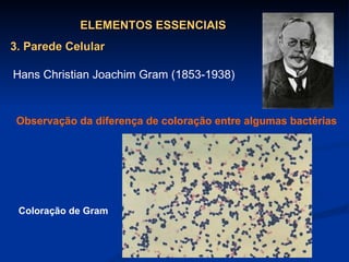 ELEMENTOS ESSENCIAIS 3. Parede Celular Hans Christian Joachim Gram (1853-1938) Observação da diferença de coloração entre algumas bactérias Coloração de Gram 
