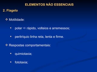 Motilidade: polar    rápido, volteios e arremessos; peritríquio linha reta, lenta e firme. Respostas comportamentais: quimiotaxia; fototaxia;   ELEMENTOS NÃO ESSENCIAIS 2. Flagelo 