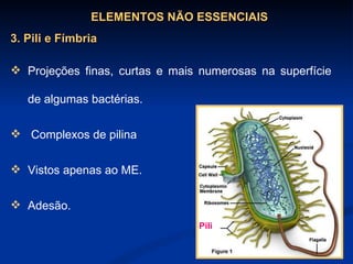 Projeções finas, curtas e mais numerosas na superfície de algumas bactérias. Complexos de pilina Vistos apenas ao ME. Adesão.   ELEMENTOS NÃO ESSENCIAIS 3. Pili e Fímbria Pili 