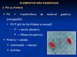 Pili    transferência de material genético (conjugação): Pili F (pili da fertilidade ou sexual): F +     macho (doador); F -     fêmea (receptora). Fímbria    adesão: colonização    doença;  biofilme.   ELEMENTOS NÃO ESSENCIAIS 3. Pili ou Fímbria 