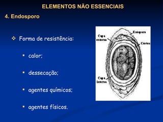 Forma de resistência: calor; dessecação; agentes químicos; agentes físicos.   ELEMENTOS NÃO ESSENCIAIS 4. Endosporo 
