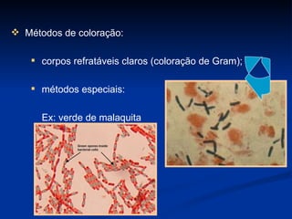Métodos de coloração: corpos refratáveis claros (coloração de Gram); métodos especiais: Ex: verde de malaquita 