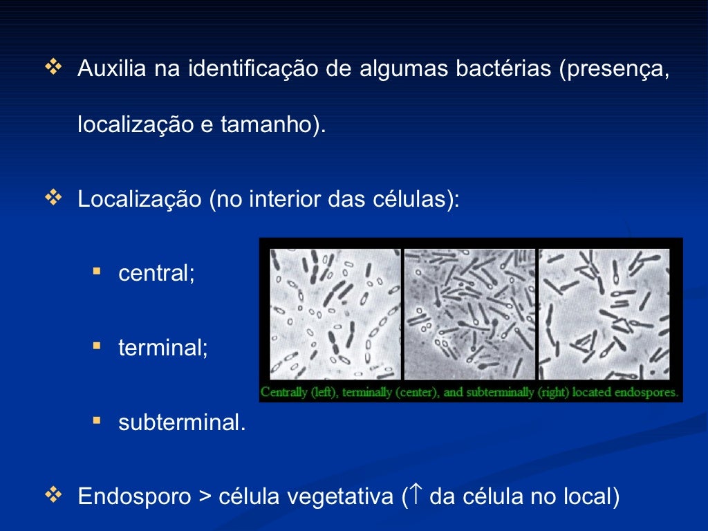 Sobre A Citologia Bacteriana é Correto Afirmar Que