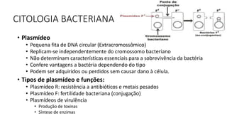 CITOLOGIA BACTERIANA
• Plasmídeo
• Pequena fita de DNA circular (Extracromossômico)
• Replicam-se independentemente do cromossomo bacteriano
• Não determinam características essenciais para a sobrevivência da bactéria
• Confere vantagens a bactéria dependendo do tipo
• Podem ser adquiridos ou perdidos sem causar dano à célula.
• Tipos de plasmídeo e funções:
• Plasmídeo R: resistência a antibióticos e metais pesados
• Plasmídeo F: fertilidade bacteriana (conjugação)
• Plasmídeos de virulência
• Produção de toxinas
• Síntese de enzimas
 
