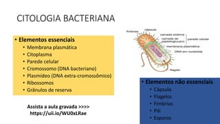 CITOLOGIA BACTERIANA
• Elementos essenciais
• Membrana plasmática
• Citoplasma
• Parede celular
• Cromossomo (DNA bacteriano)
• Plasmídeo (DNA extra-cromossômico)
• Ribossomos
• Grânulos de reserva
• Elementos não essenciais
• Cápsula
• Flagelos
• Fímbrias
• Pili
• Esporos
Assista a aula gravada >>>>
https://uii.io/WU0xLRae
 