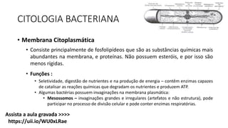 CITOLOGIA BACTERIANA
• Membrana Citoplasmática
• Consiste principalmente de fosfolipídeos que são as substâncias químicas mais
abundantes na membrana, e proteínas. Não possuem esteróis, e por isso são
menos rígidas.
• Funções :
• Seletividade, digestão de nutrientes e na produção de energia – contêm enzimas capazes
de catalisar as reações químicas que degradam os nutrientes e produzem ATP.
• Algumas bactérias possuem invaginações na membrana plasmática:
• Mesossomos – invaginações grandes e irregulares (artefatos e não estrutura), pode
participar no processo de divisão celular e pode conter enzimas respiratórias.
Assista a aula gravada >>>>
https://uii.io/WU0xLRae
 