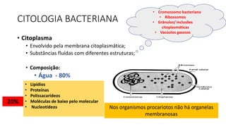 CITOLOGIA BACTERIANA
• Citoplasma
• Envolvido pela membrana citoplasmática;
• Substâncias fluídas com diferentes estruturas;
• Composição:
• Água - 80%
• Lipídios
• Proteínas
• Polissacarídeos
• Moléculas de baixo pelo molecular
• Nucleotídeos
20%
Nos organismos procariotos não há organelas
membranosas
• Cromossomo bacteriano
• Ribossomos
• Grânulos/ inclusões
citoplasmáticas
• Vacúolos gasosos
 