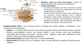 • Membrana externa da célula gram-negativa: consiste em
lipopolissacarídeos (LPS), lipoproteínas e fosfolipídeos.
• Funções especializadas:
• Sua forte carga negativa é um fator importante na evasão
da fagocitose e nas ações do complemento (causa lise de
células e promove a fagocitose);
• Também fornece uma barreira para certos antibióticos (p.
ex., penicilina), enzimas digestivas como a lisozima,
detergentes, metais pesados, sais biliares e certos corantes;
• As porinas (proteínas transmembranares) permitem a
passagem de moléculas como nucleotídeos, dissacarídeos,
peptídeos, aminoácidos, vitamina B12 e ferro
• Lipopolissacarídeo (LPS): É uma molécula grande e complexa que contém lipídeos e carboidratos e que
consiste em três componentes:
• Lipídeo A – é a porção lipídica do LPS e está inserido na parede superior da membrana externa. Quando
bactérias gram-negativas morrem, elas liberam lipídeo A, que funciona como uma endotoxina.
responsável pelos sintomas associados a bactérias gram- -negativas, como febre, dilatação de vasos
venosos, choque e formação de coágulos sanguíneos.
• Cerne polissacarídico: Seu papel é estrutural – fornecer estabilidade.
• Polissacarídeo O: funciona como um antígeno, sendo útil para diferenciar espécies de bactérias gram-
negativas.
 