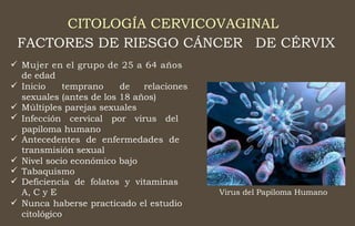 CITOLOGÍA CERVICOVAGINAL
FACTORES DE RIESGO CÁNCER DE CÉRVIX
 Mujer en el grupo de 25 a 64 años
de edad
 Inicio temprano de relaciones
sexuales (antes de los 18 años)
Múltiples parejas sexuales
Infección cervical por virus del
papiloma humano
Antecedentes de enfermedades de
transmisión sexual
Nivel socio económico bajo
Tabaquismo
Deficiencia de folatos y vitaminas
A, C y E
Nunca haberse practicado el estudio
citológico






Virus del Papiloma Humano

 