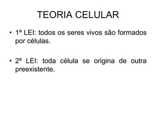 TEORIA CELULAR
• 1ª LEI: todos os seres vivos são formados
por células.
• 2ª LEI: toda célula se origina de outra
preexistente.
 
