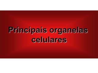 Principais organelas
celulares
 