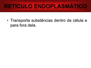 RETÍCULO ENDOPLASMÁTICO
• Transporta substâncias dentro da célula e
para fora dela.
 