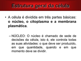 • A célula é dividida em três partes básicas:
o núcleo, o citoplasma e a membrana
plasmática.
– NÚCLEO: O núcleo é chamado de sede de
decisões da célula, isto é, ele controla todas
as suas atividades: o que deve ser produzido,
em que quantidade, quando e em que
momento deve se dividir.
Estrutura geral da célula
 