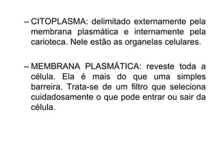 – CITOPLASMA: delimitado externamente pela
membrana plasmática e internamente pela
carioteca. Nele estão as organelas celulares.
– MEMBRANA PLASMÁTICA: reveste toda a
célula. Ela é mais do que uma simples
barreira. Trata-se de um filtro que seleciona
cuidadosamente o que pode entrar ou sair da
célula.
 