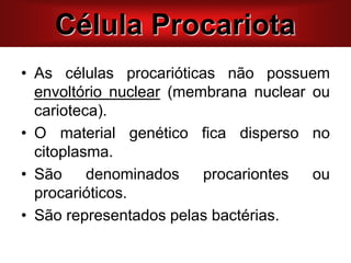 • As células procarióticas não possuem
envoltório nuclear (membrana nuclear ou
carioteca).
• O material genético fica disperso no
citoplasma.
• São denominados procariontes ou
procarióticos.
• São representados pelas bactérias.
Célula Procariota
 
