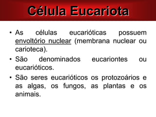 • As células eucarióticas possuem
envoltório nuclear (membrana nuclear ou
carioteca).
• São denominados eucariontes ou
eucarióticos.
• São seres eucarióticos os protozoários e
as algas, os fungos, as plantas e os
animais.
Célula Eucariota
 