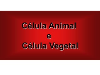 Célula Animal
e
Célula Vegetal
 