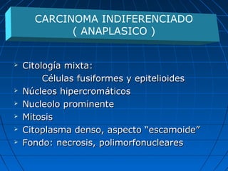  Citología mixta:Citología mixta:
Células fusiformes y epitelioidesCélulas fusiformes y epitelioides
 Núcleos hipercromáticosNúcleos hipercromáticos
 Nucleolo prominenteNucleolo prominente
 MitosisMitosis
 Citoplasma denso, aspecto “escamoide”Citoplasma denso, aspecto “escamoide”
 Fondo: necrosis, polimorfonuclearesFondo: necrosis, polimorfonucleares
CARCINOMA INDIFERENCIADO
( ANAPLASICO )
 